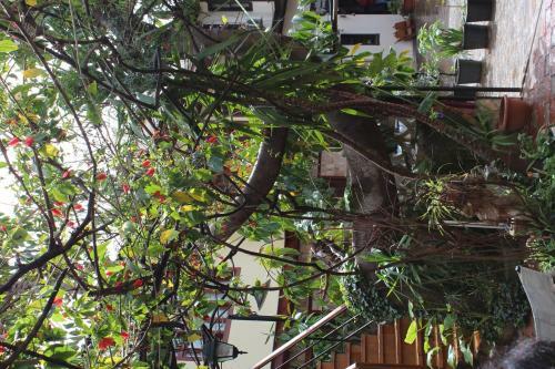 Hotel Lazer Pension