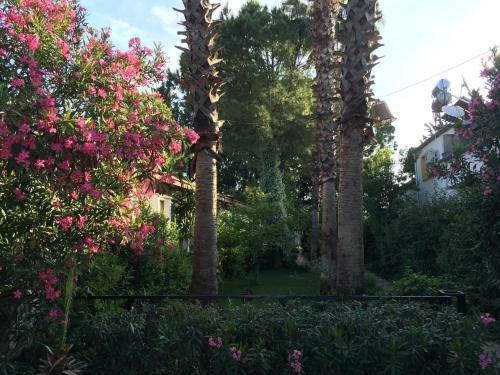 Hostal Hotel Happy Caretta