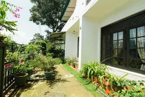 Hotel Amigo S Home Stay