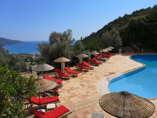 Paradise Garden Hotel