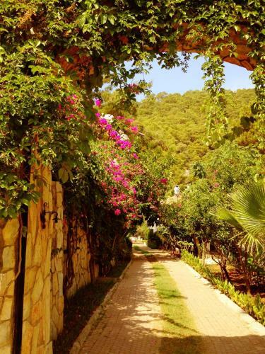 Paradise Garden Hotel