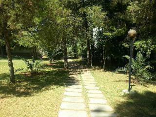 Hotel Bungalows Diamant Vert