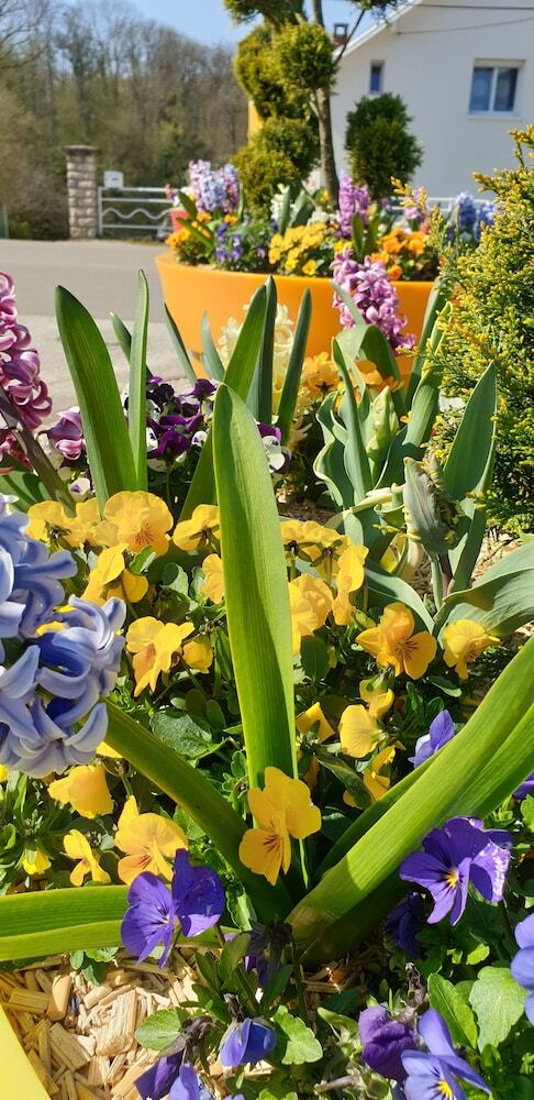 Hotel Premiere Classe Besancon - Ecole Valentin