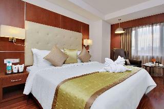 Hotel Comfort Inn Insys