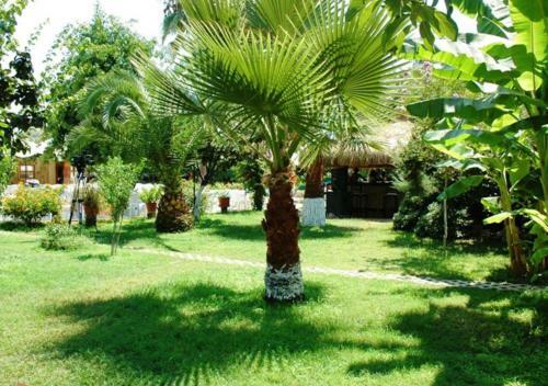 Club Turkuaz Garden Hotel