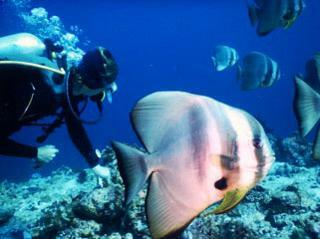 White Sand Dhigurah