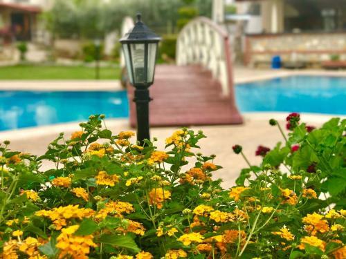 Lale Apartments Fethiye