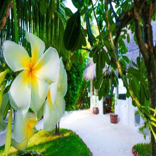 Hotel Vakarufalhi Island Resort