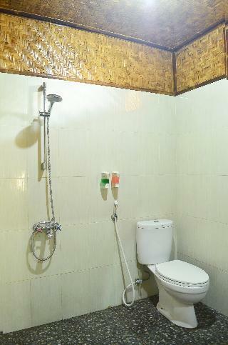 Hotel Shane Josa Resort