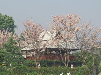Hotel Phusanfha Residence