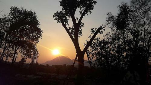 Hotel Homestay Chiangrai