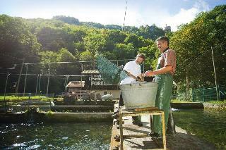 Hotel Forellenhof R�ssle