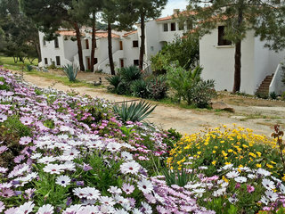 Punta Paliagi No.2