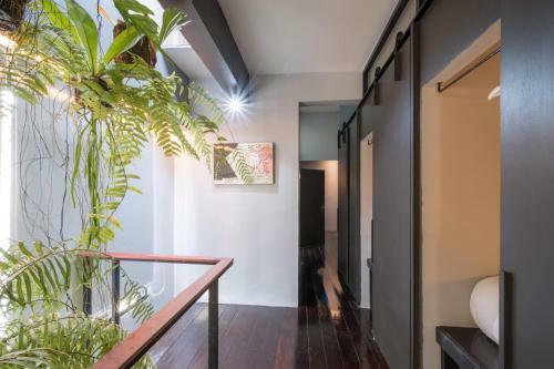 Albergue Phuket Capsule Room