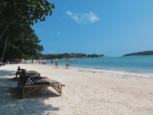Chaweng Blue Lagoon Hotel