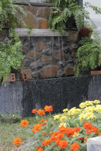 Hostal Gusto House