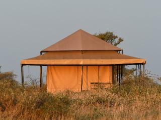 Serengeti Wildebeest Camp