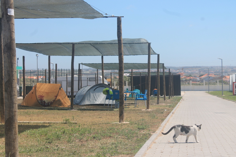 Hotel Urban Art Camping