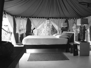 Hotel Selous Wilderness Camp