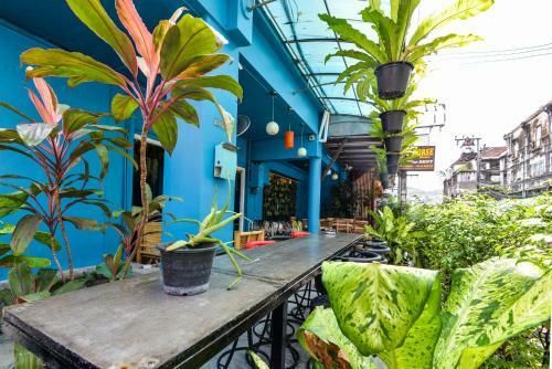 Sea Horse Hotel Phuket