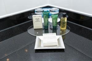 Hotel Hilton London Gatwick Airport