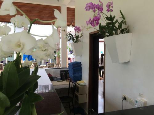 Aparthotel Nadivana Serviced Apartments