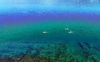 Ece Boutique Hotel - Sovalye Island