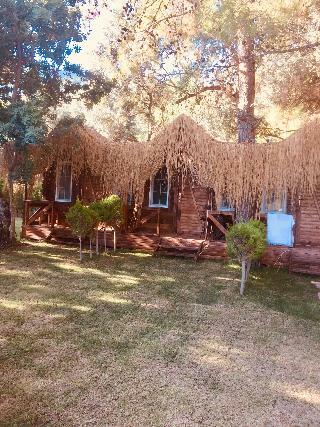 Hotel Green Pine Beach & Bungalows Luxury Concept