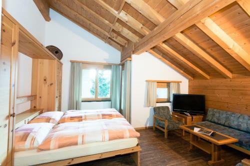 Hostal Hotel Pension S�som Surlej