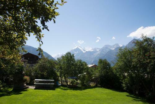 Apartamentos Chalet Soldanella