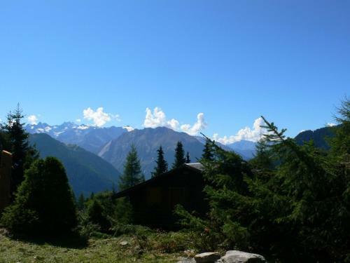 Apartment Summit Verbier