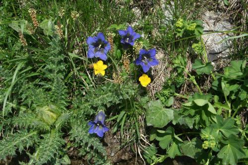 Bed & Breakfast Bnb Claudy Et Elizabeth Michellod-dutheil