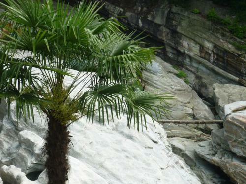 Posada Charme Hotel Ristorante T3e Terre