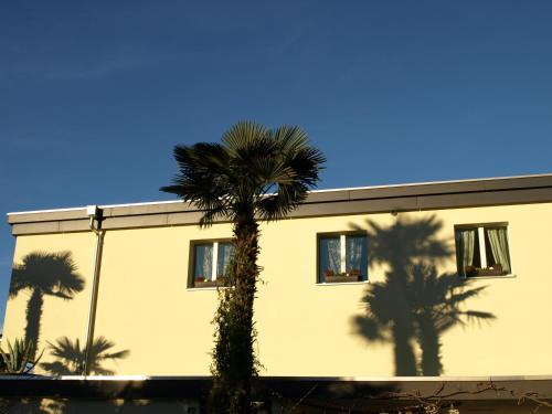 Hotel Barbat�