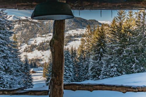 Hotel Hamilton Lodge Zweisimmen