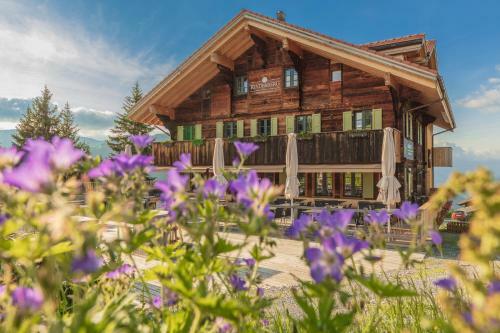 Hotel Hamilton Lodge Zweisimmen