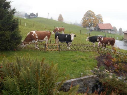 Chalet Tannegg