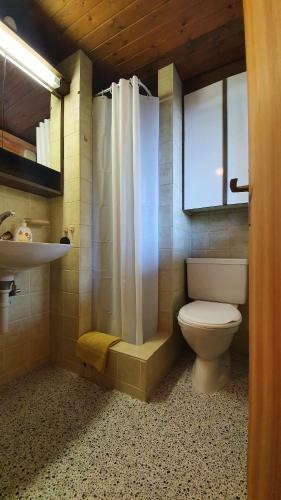 Chalet Tannegg