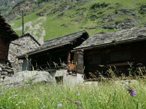 Holiday Home Fortuna Dandrio-malvaglia