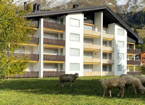 Apartamentos Triangel D