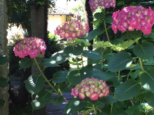 Bed & Breakfast Residenza Bettina