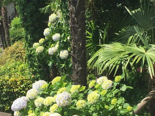 Bed & Breakfast Residenza Bettina