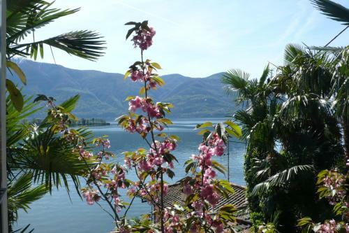 Bed & Breakfast Residenza Bettina