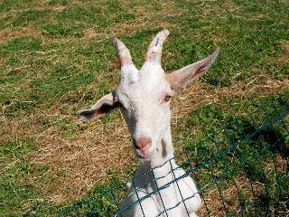 Hotel La Gran Becca - Four Bedroom