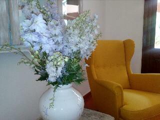 Mya Hotel-porto Cervo