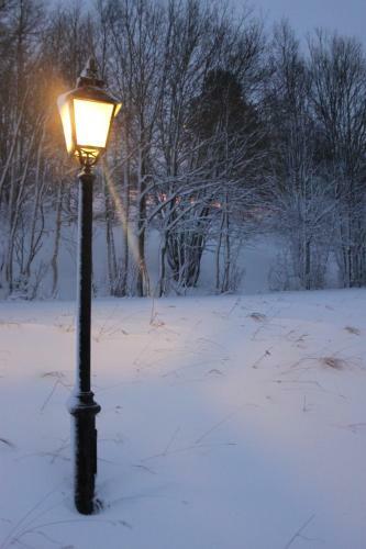 Lodge Karolinen Cottages & Apartments