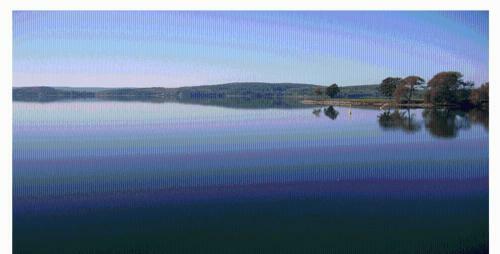 Apartamento Glafsfjordens Bed & Breakfast