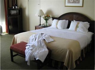 Hotel Holiday Inn Danbury-bethel