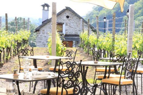 Hotel Fattoria L'amorosa