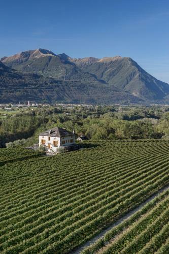 Hotel Fattoria L'amorosa